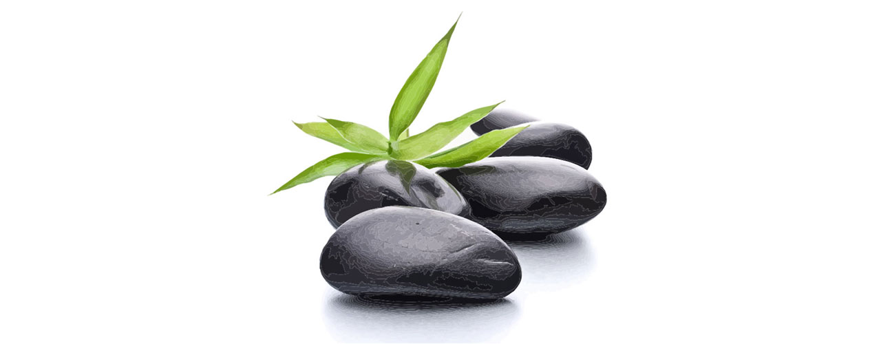 zen1