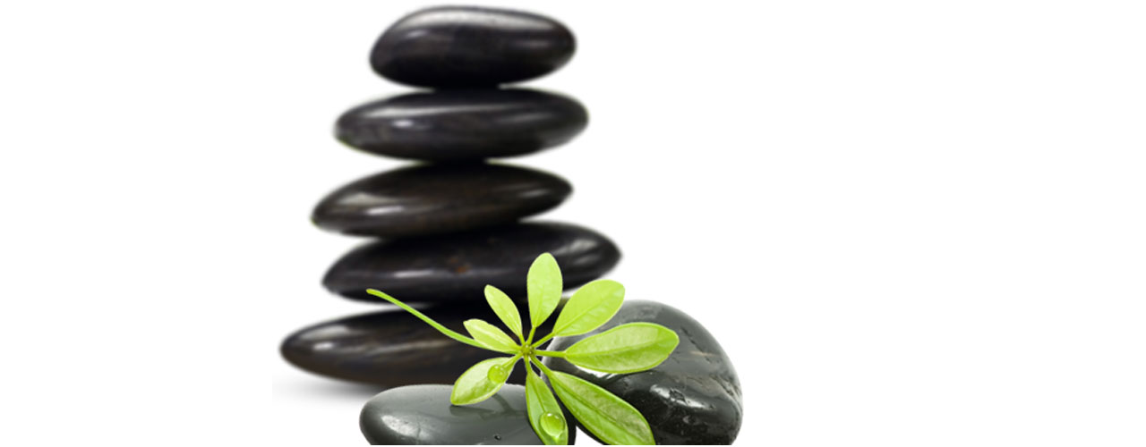 zen2